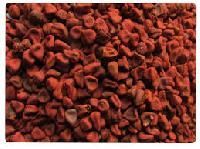 Annatto Seeds