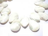 Shell Beads