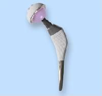 Hip Prosthesis