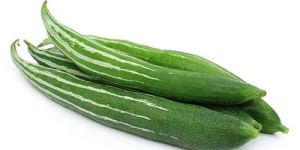 Fresh Snake Gourd