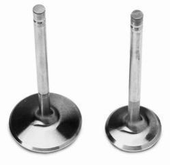 Engine Exhaust Valve
