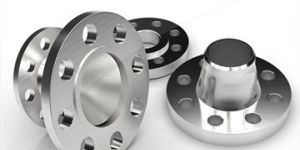 Titanium Flanges