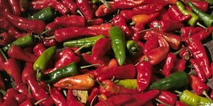 Chillies