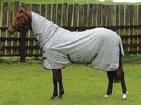 Horse Clothing