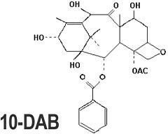 Hyoscine Butyl Bromide