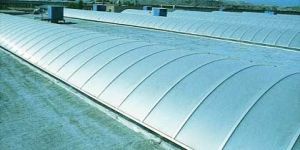 Polycarbonate Embossed Sheet