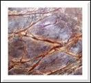 Forest Brown Marble