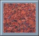 Jhansi Red Granite