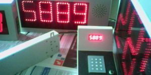 Voice Based Token Displays