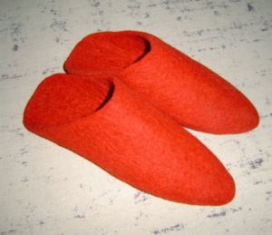 Felt Shoes