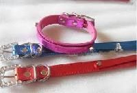 Pet Belts