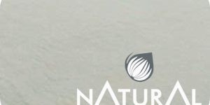 Dehydrated Potato Powder