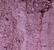 Dehydrated Red Onion Powder