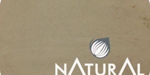 Toasted Onion Powder