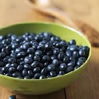 Plant Food