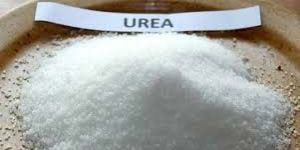 Urea Powder