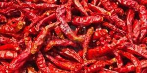 Dried Red Chilli