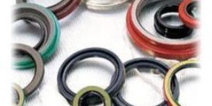 Oil Seals