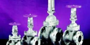 Stainless Steel Gate Valves