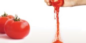 Spray Dried Tomato Powder