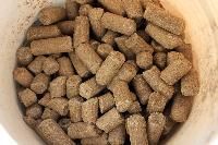 Dairy Cattle Feed