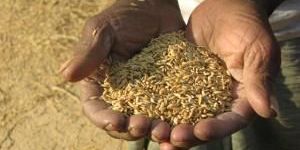 Organic Farm Products