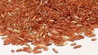 Red Rice