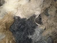 Wool Wastes