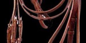 Leather Bridle