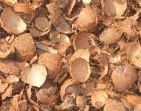 Coconut Shell Chips
