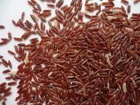 Red Rice