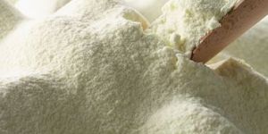 Dairy Powders