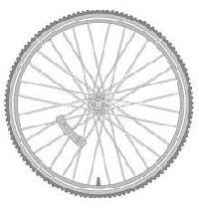 Bicycle Wheels