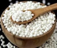Sago Seeds