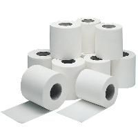 Toilet Paper Rolls
