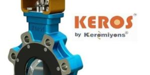 Double Offset Butterfly Valve