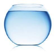 Fish Bowl