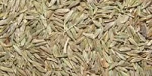 Cumin Seeds