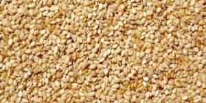 Sesame Seeds