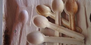 Areca Leaf Spoons