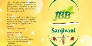 Organic Insecticide