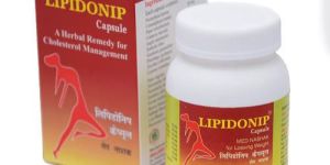 Herbal Remedy for Cholesterol Management