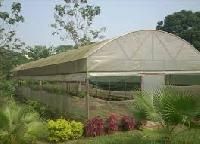 Polyhouses
