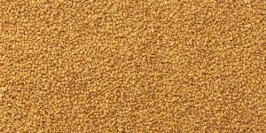 Coriander Seeds & Powder