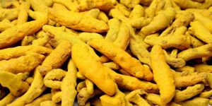 Turmeric Finger & Powder