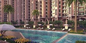 Residential Construction Service