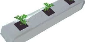 Coco Peat Grow Bag