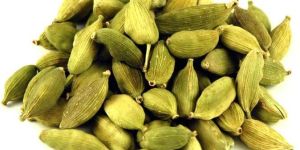 Green Cardamom