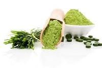 Wheat Grass Powder