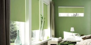 Roller Window Blinds